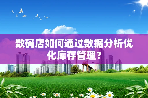 数码店如何通过数据分析优化库存管理？
