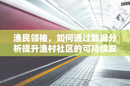 渔民领袖，如何通过数据分析提升渔村社区的可持续发展？