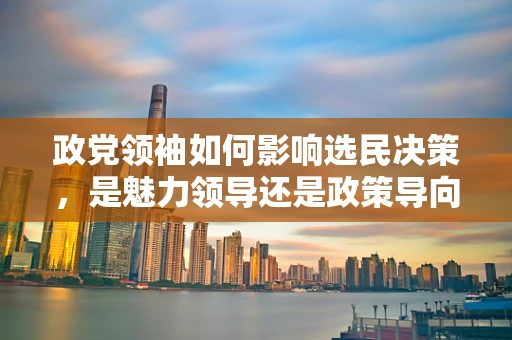 政党领袖如何影响选民决策，是魅力领导还是政策导向？