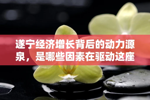 遂宁经济增长背后的动力源泉，是哪些因素在驱动这座城市的快速发展？