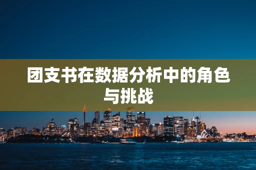 团支书在数据分析中的角色与挑战