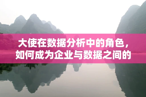 大使在数据分析中的角色，如何成为企业与数据之间的桥梁？