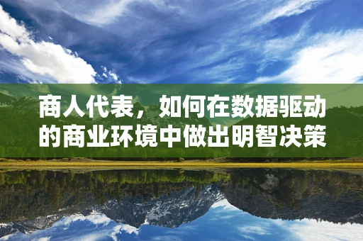 商人代表，如何在数据驱动的商业环境中做出明智决策？