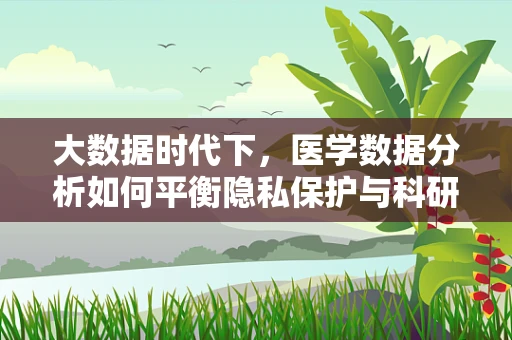 大数据时代下，医学数据分析如何平衡隐私保护与科研进步？