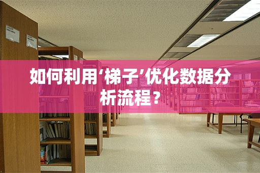 如何利用‘梯子’优化数据分析流程？