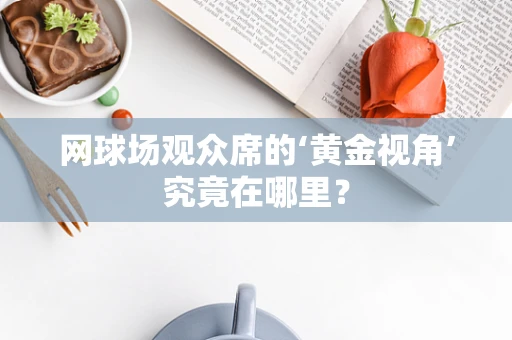 网球场观众席的‘黄金视角’究竟在哪里？