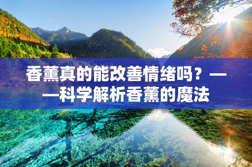 香薰真的能改善情绪吗？——科学解析香薰的魔法