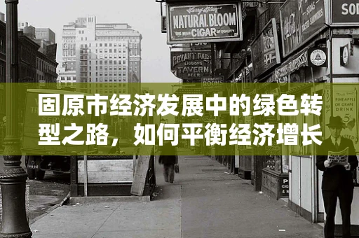 固原市经济发展中的绿色转型之路，如何平衡经济增长与环境保护？