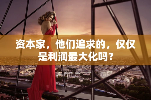 资本家，他们追求的，仅仅是利润最大化吗？