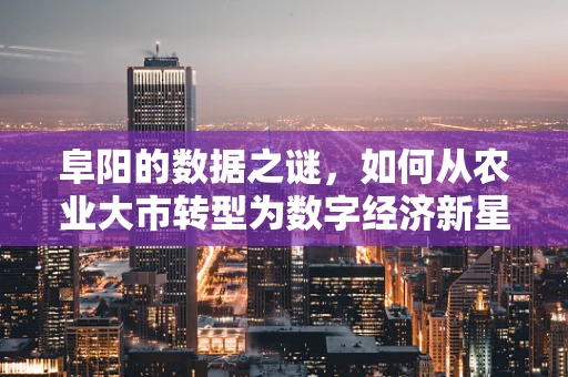 阜阳的数据之谜，如何从农业大市转型为数字经济新星？