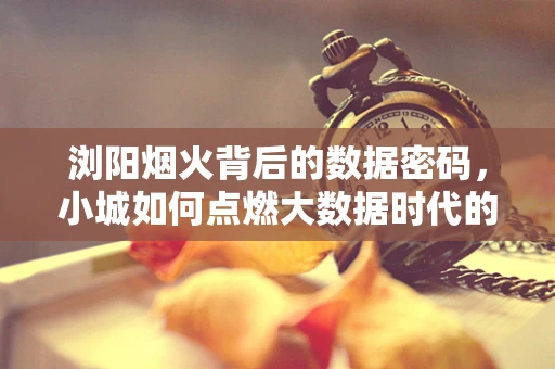 浏阳烟火背后的数据密码，小城如何点燃大数据时代的火树银花？