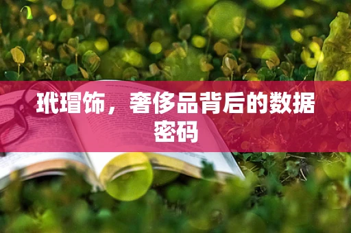 玳瑁饰，奢侈品背后的数据密码