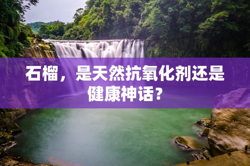 石榴，是天然抗氧化剂还是健康神话？