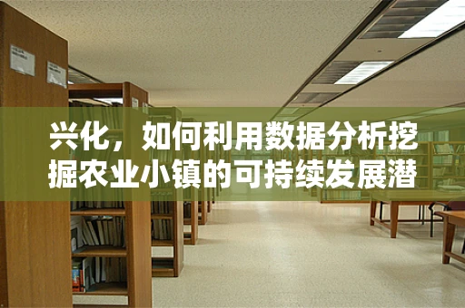 兴化，如何利用数据分析挖掘农业小镇的可持续发展潜力？