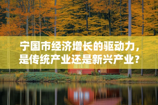 宁国市经济增长的驱动力，是传统产业还是新兴产业？