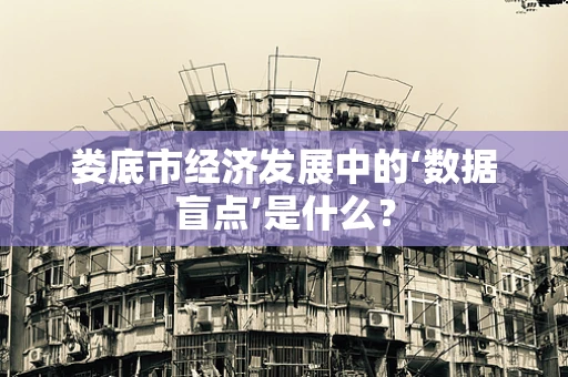 娄底市经济发展中的‘数据盲点’是什么？