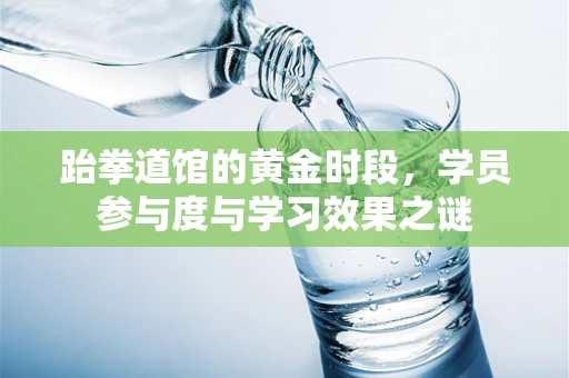 跆拳道馆的黄金时段，学员参与度与学习效果之谜