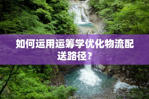 如何运用运筹学优化物流配送路径？