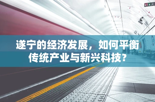 遂宁的经济发展，如何平衡传统产业与新兴科技？