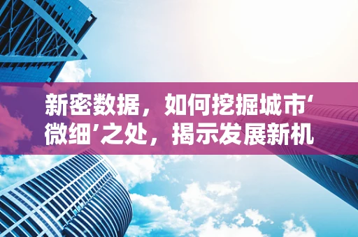 新密数据，如何挖掘城市‘微细’之处，揭示发展新机遇？