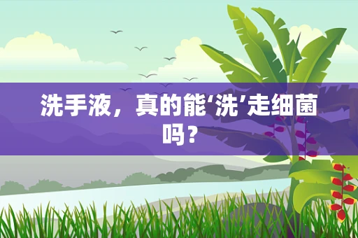 洗手液，真的能‘洗’走细菌吗？