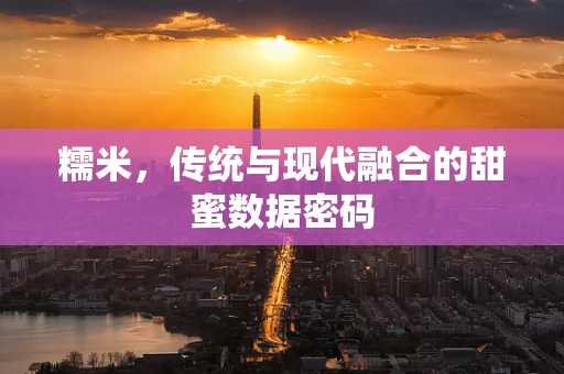 糯米，传统与现代融合的甜蜜数据密码