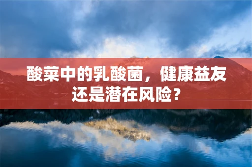 酸菜中的乳酸菌，健康益友还是潜在风险？
