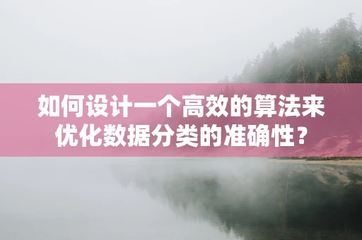 如何设计一个高效的算法来优化数据分类的准确性？