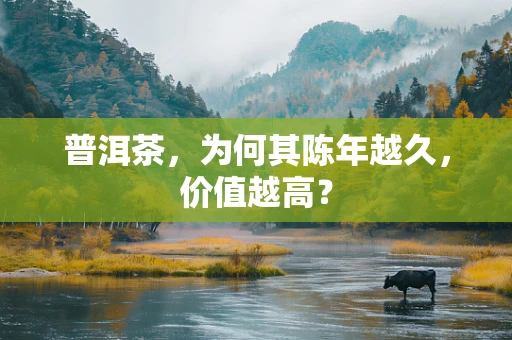 普洱茶，为何其陈年越久，价值越高？