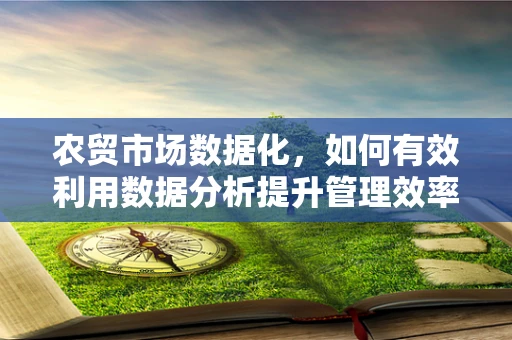 农贸市场数据化，如何有效利用数据分析提升管理效率？