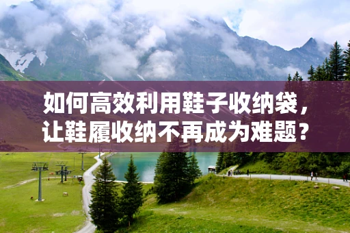 如何高效利用鞋子收纳袋，让鞋履收纳不再成为难题？