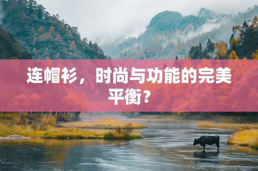 连帽衫，时尚与功能的完美平衡？