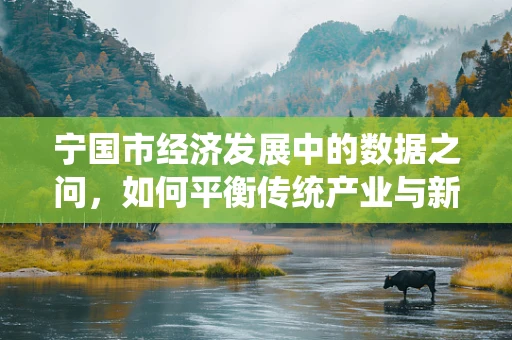 宁国市经济发展中的数据之问，如何平衡传统产业与新兴科技？