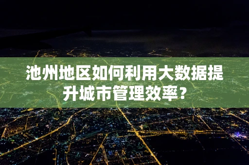池州地区如何利用大数据提升城市管理效率？