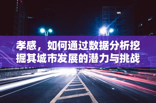 孝感，如何通过数据分析挖掘其城市发展的潜力与挑战？