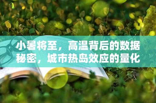 小暑将至，高温背后的数据秘密，城市热岛效应的量化分析