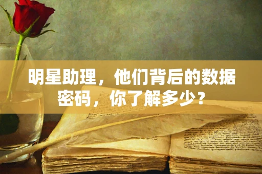 明星助理，他们背后的数据密码，你了解多少？