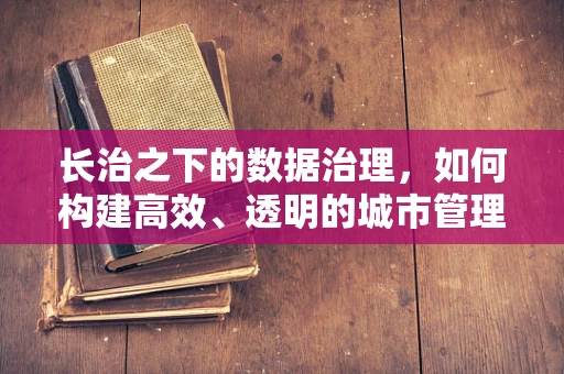 长治之下的数据治理，如何构建高效、透明的城市管理体系？