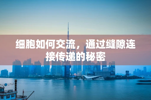细胞如何交流，通过缝隙连接传递的秘密