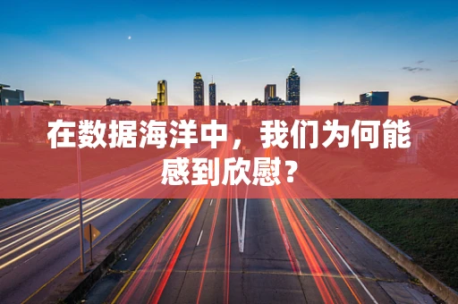 在数据海洋中，我们为何能感到欣慰？