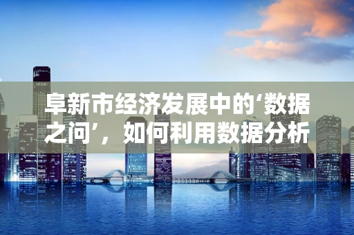 阜新市经济发展中的‘数据之问’，如何利用数据分析推动产业升级？