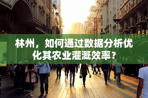 林州，如何通过数据分析优化其农业灌溉效率？