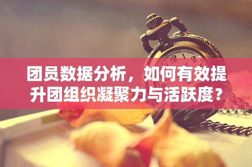 团员数据分析，如何有效提升团组织凝聚力与活跃度？