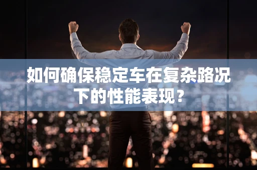 如何确保稳定车在复杂路况下的性能表现？
