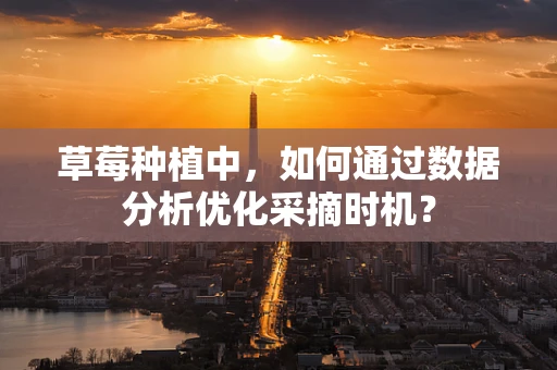 草莓种植中，如何通过数据分析优化采摘时机？