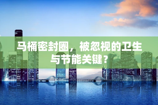 马桶密封圈，被忽视的卫生与节能关键？