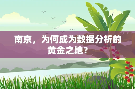 南京，为何成为数据分析的黄金之地？