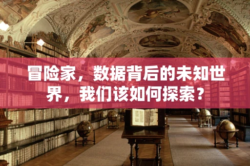 冒险家，数据背后的未知世界，我们该如何探索？