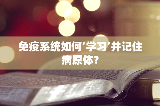 免疫系统如何‘学习’并记住病原体？