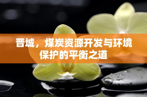 晋城，煤炭资源开发与环境保护的平衡之道